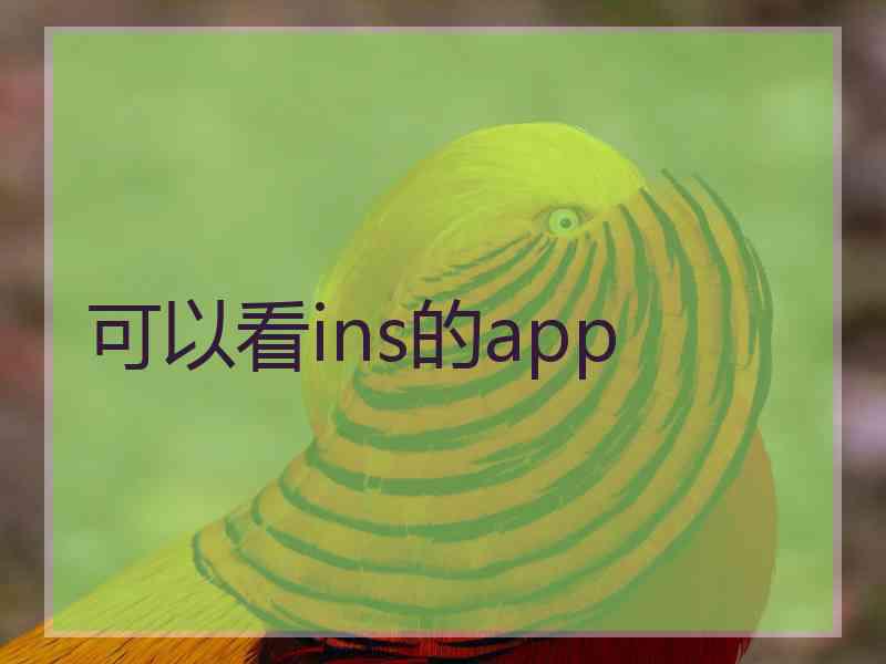 可以看ins的app