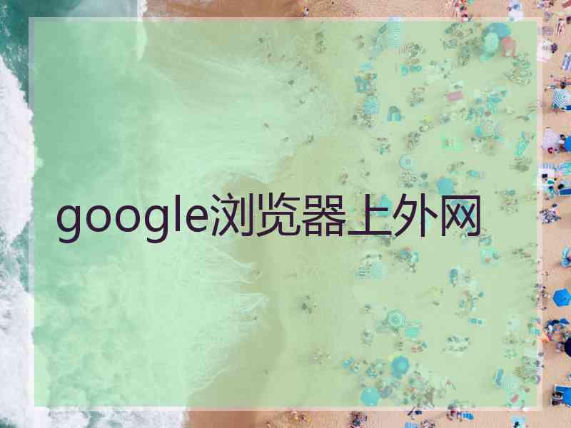 google浏览器上外网