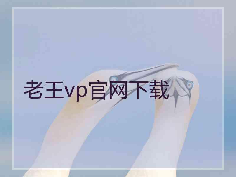 老王vp官网下载