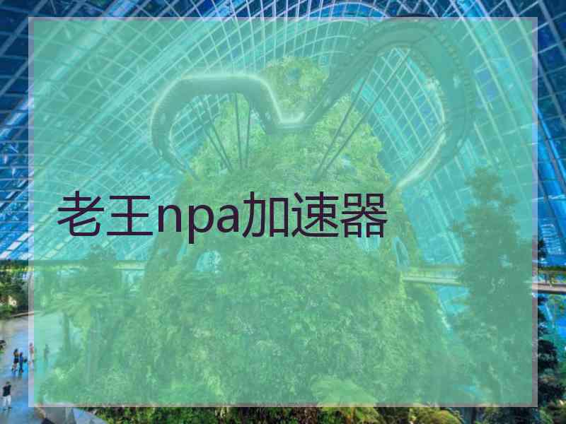 老王npa加速器